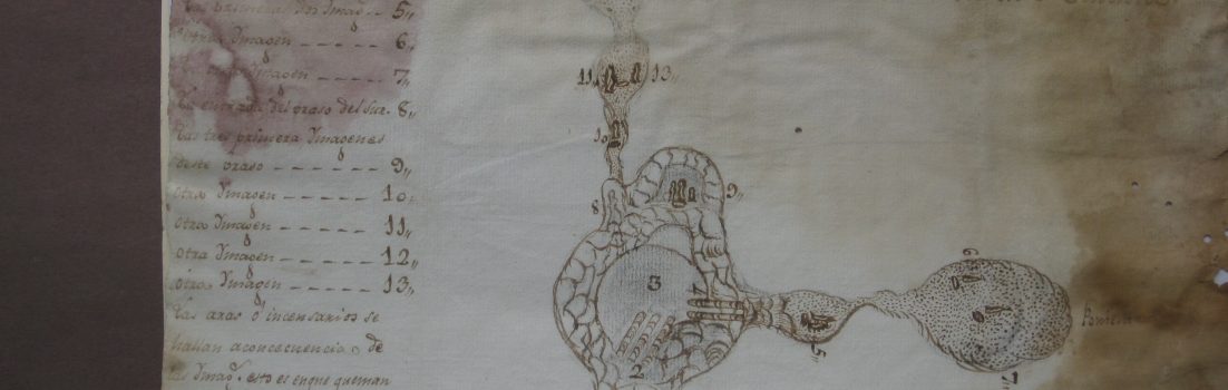 CFP: “Exploring Colonial Roots/Routes in North America and Latin America”